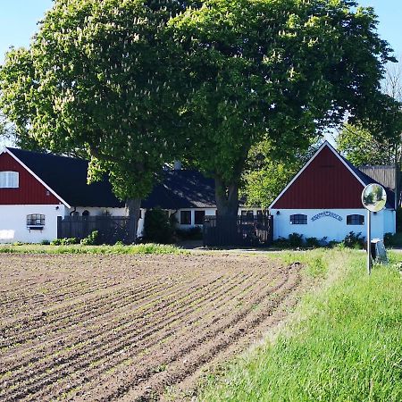 Knappagården Glemminge Eksteriør bilde
