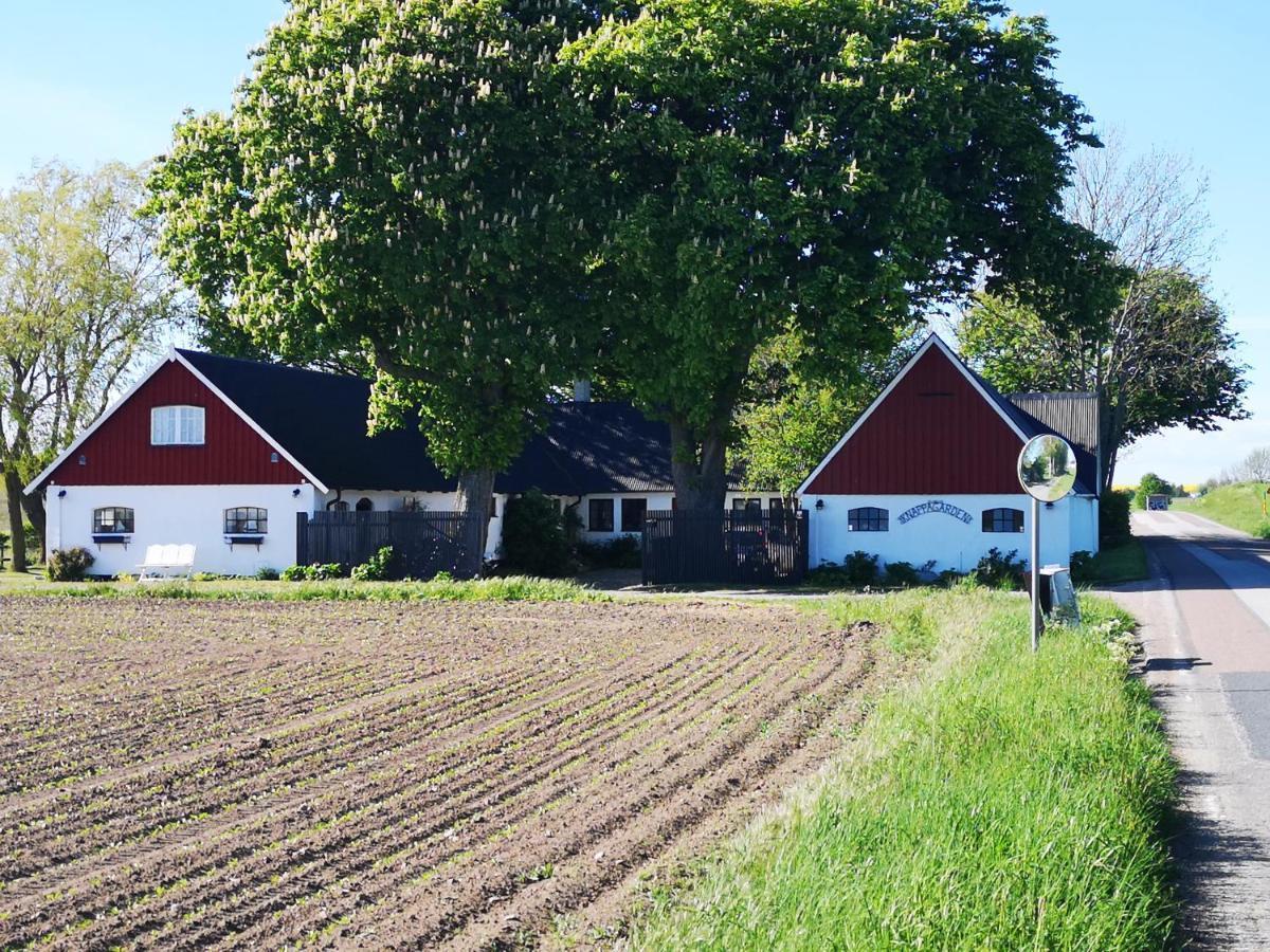 Knappagården Glemminge Eksteriør bilde